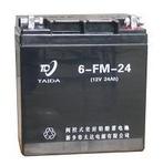 FM型6V、12V系列電池